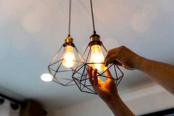 Best Electrician for Home Renovation  in Ridgely, MD
